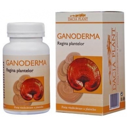 Ganoderma - pentru functionarea optima a circulatiei cerebrale si a sistemului cardiovascular